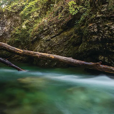 Stunning In With Sauna *